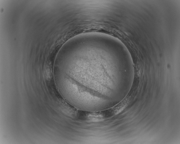 X0000068900515200605081349