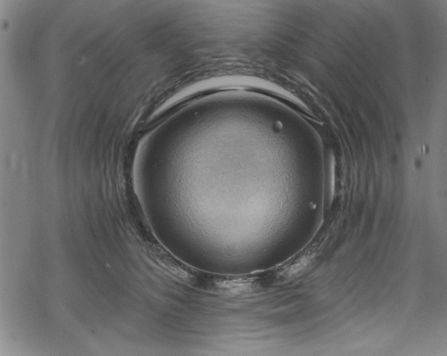 X0000068900516200605081349