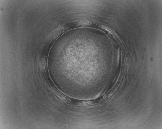 X0000068900517200605081349