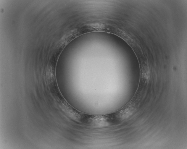 X0000068900518200605081349