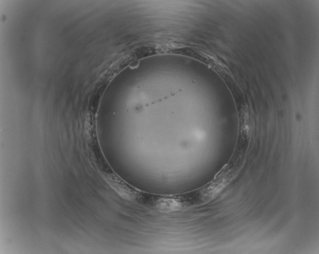 X0000068900519200605081349