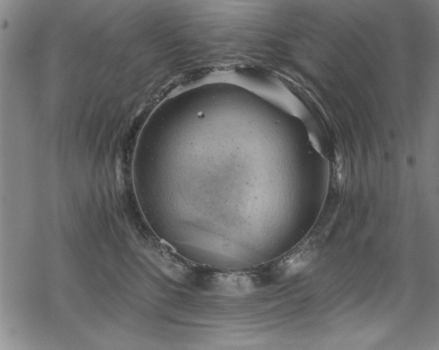 X0000068900520200605081348