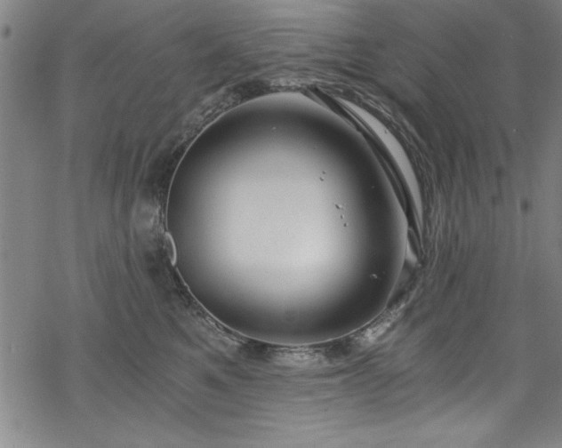 X0000068900521200605081348