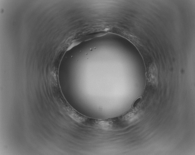 X0000068900522200605081348