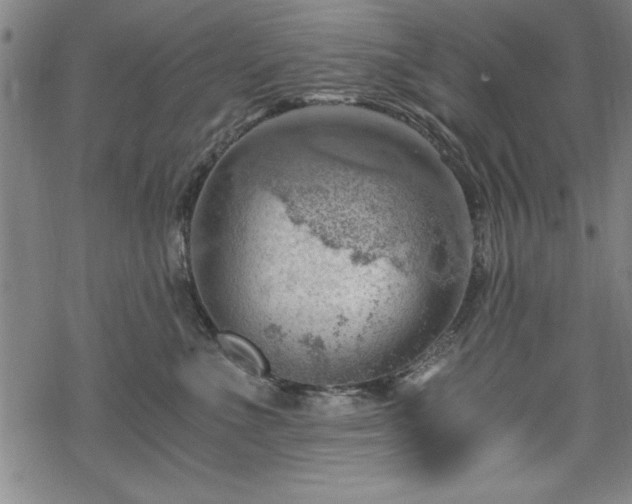 X0000068900523200605081348