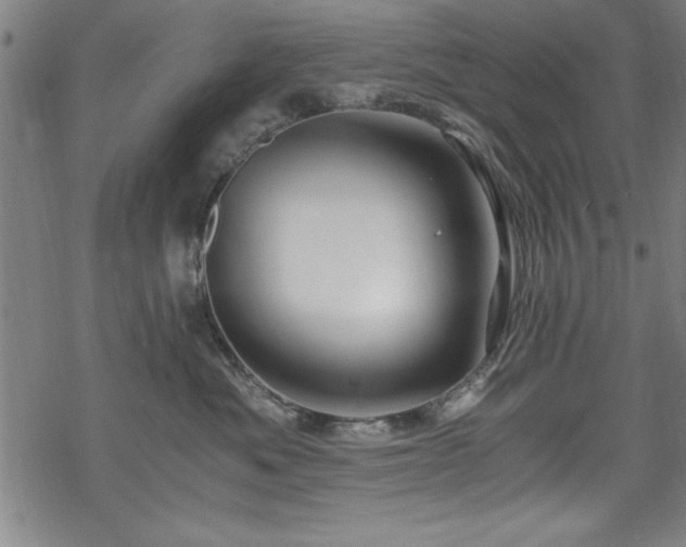 X0000068900525200605081348