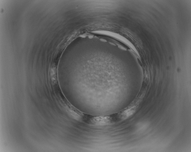 X0000068900526200605081348