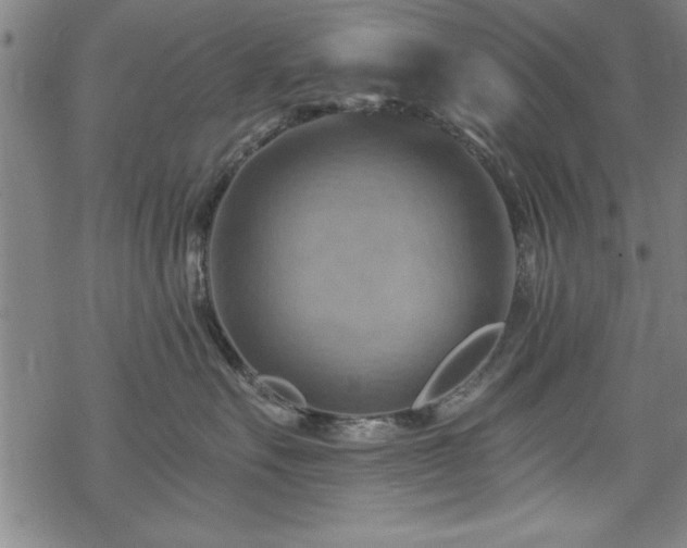 X0000068900527200605081348