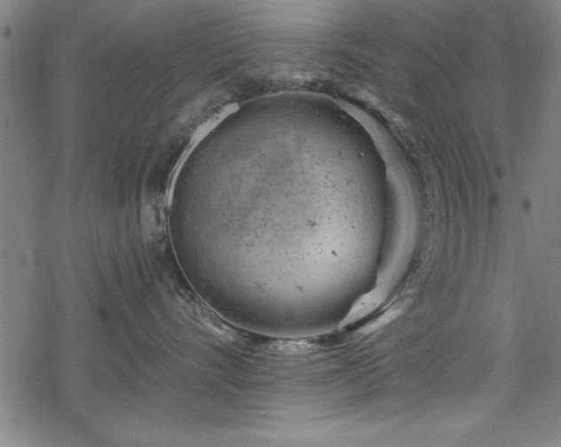 X0000068900528200605081348