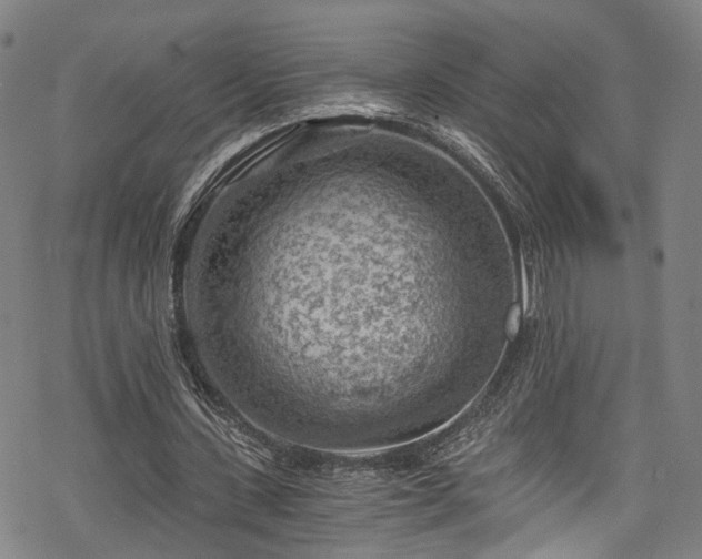 X0000068900531200605081348