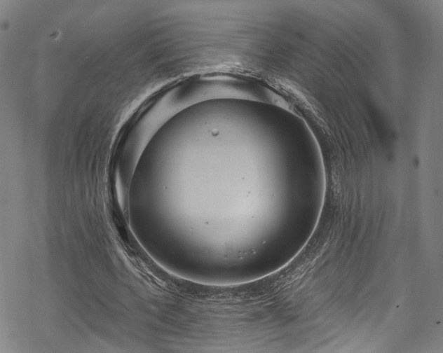 X0000068900532200605081348