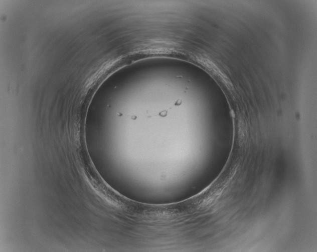 X0000068900533200605081348