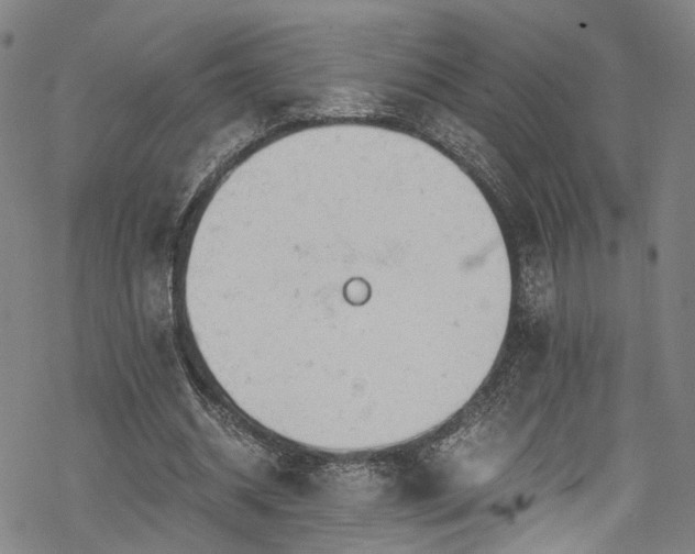 X0000068900534200605081348