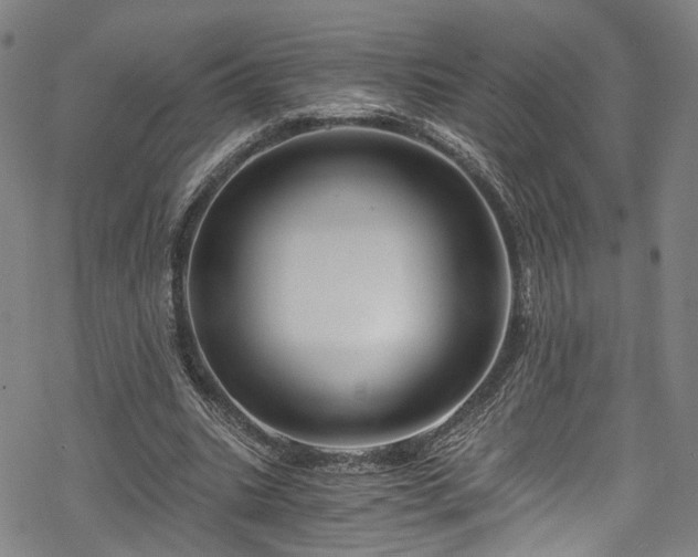 X0000068900535200605081348