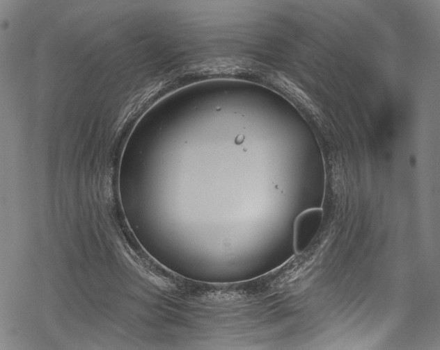 X0000068900537200605081348