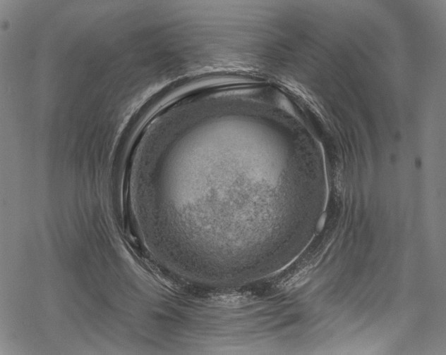 X0000068900540200605081348