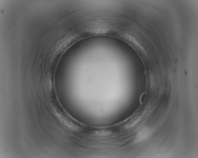 X0000068900541200605081348