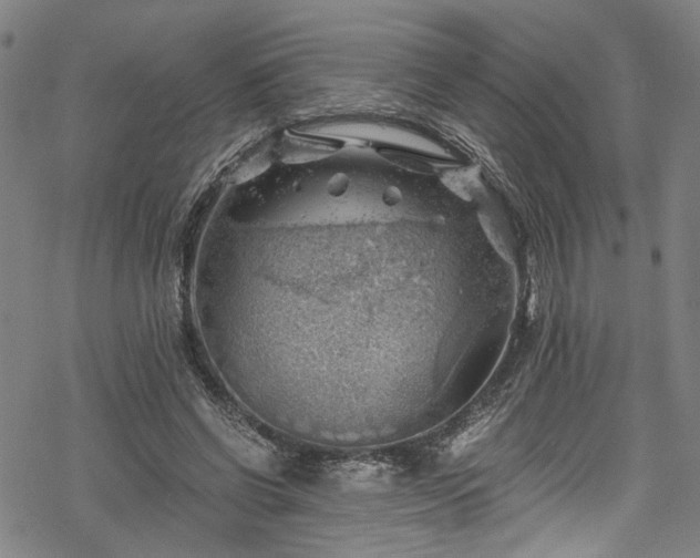 X0000068900542200605081348