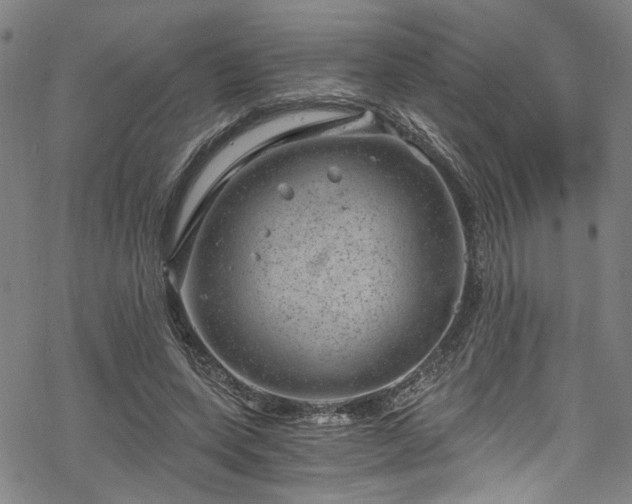 X0000068900543200605081348