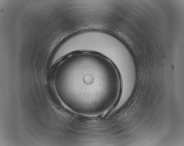 X0000068900544200605081348