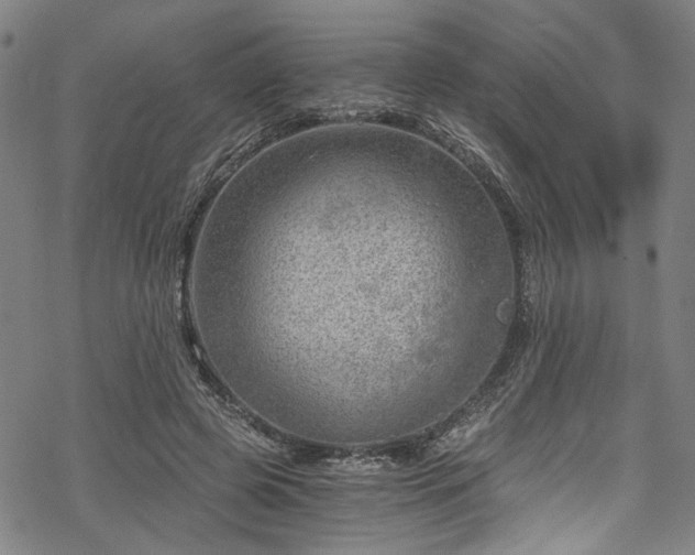 X0000068900545200605081348