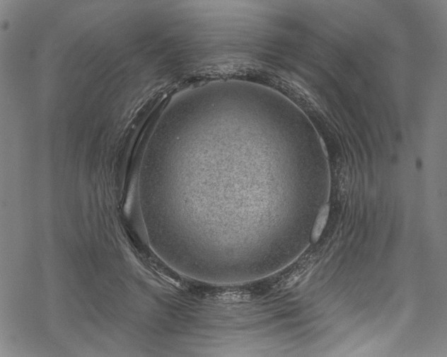 X0000068900546200605081348