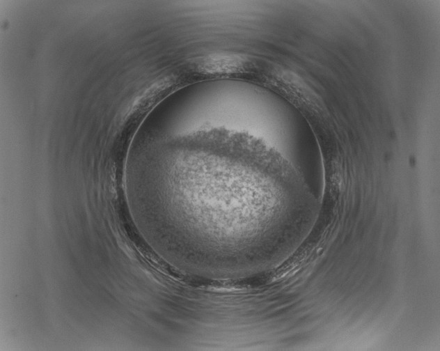 X0000068900547200605081348