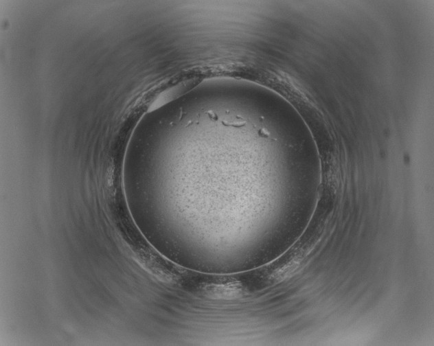 X0000068900548200605081348