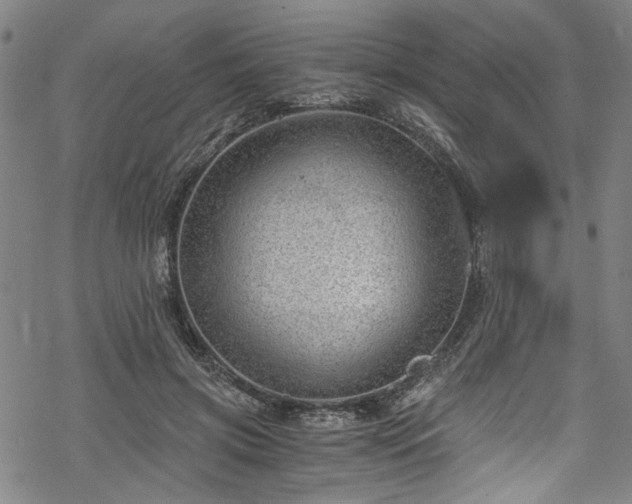 X0000068900549200605081348