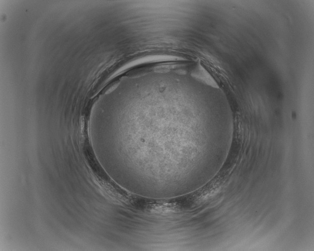 X0000068900550200605081348