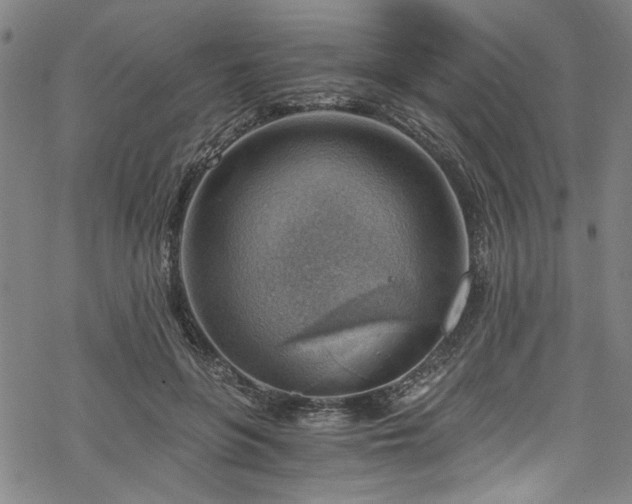 X0000068900551200605081348