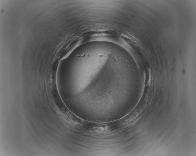 X0000068900552200605081348