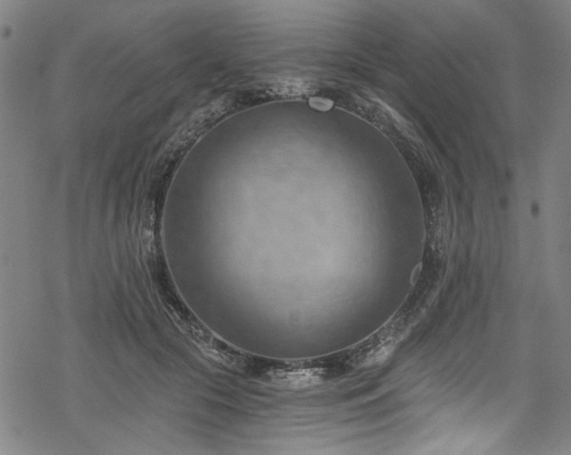 X0000068900553200605081348