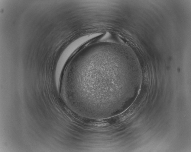 X0000068900555200605081348