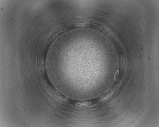 X0000068900557200605081348