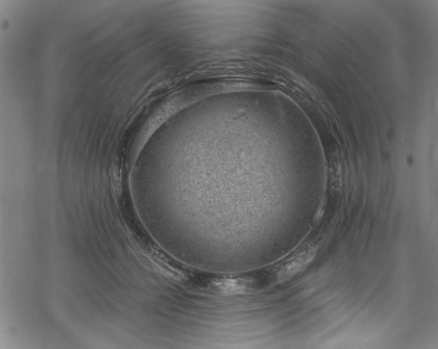 X0000068900558200605081348