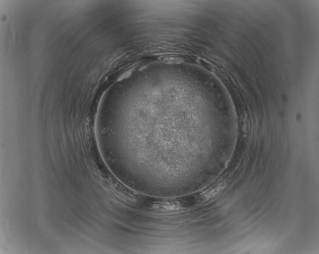 X0000068900559200605081348