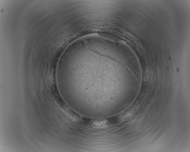 X0000068900560200605081348