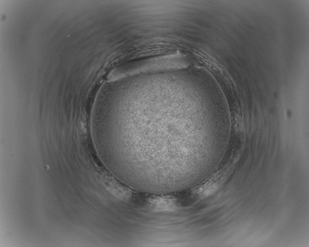 X0000068900561200605081348