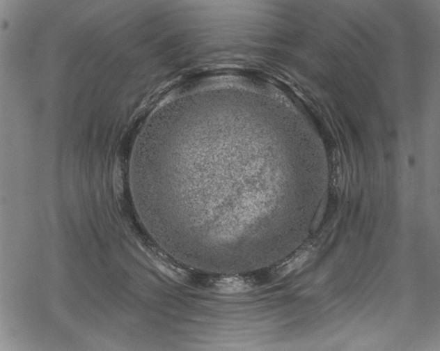 X0000068900562200605081348