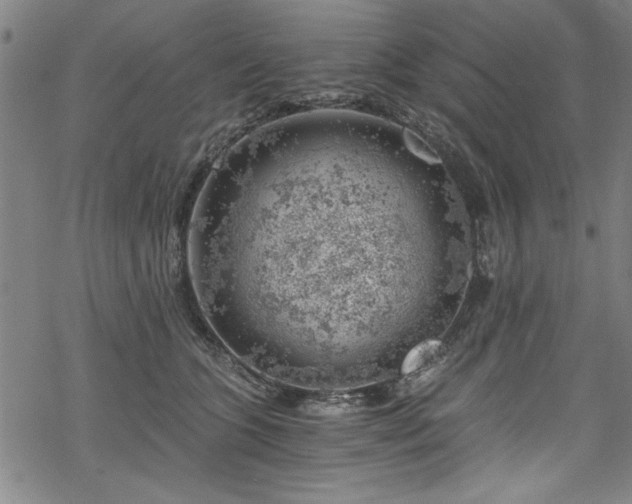 X0000068900563200605081348