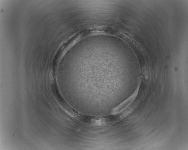 X0000068900564200605081348