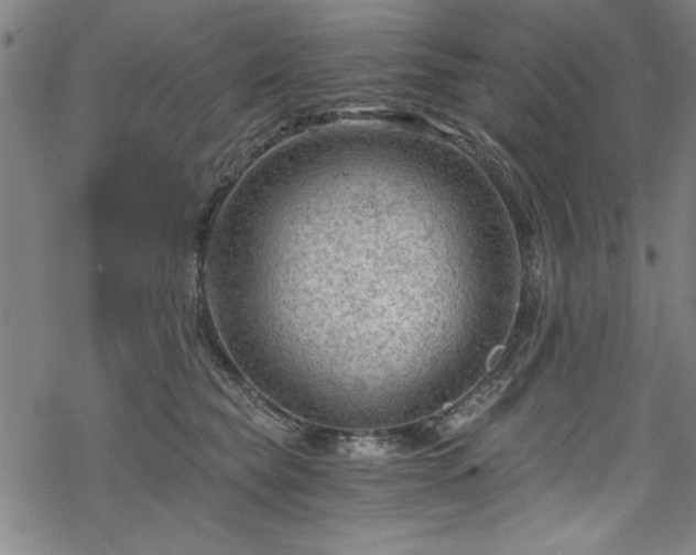 X0000068900565200605081348