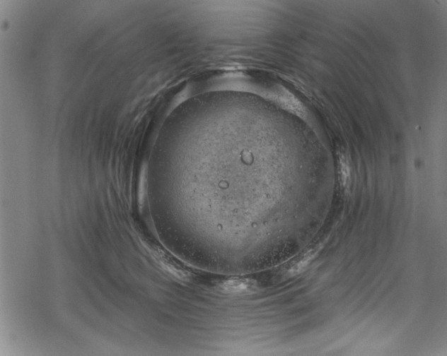 X0000068900566200605081348