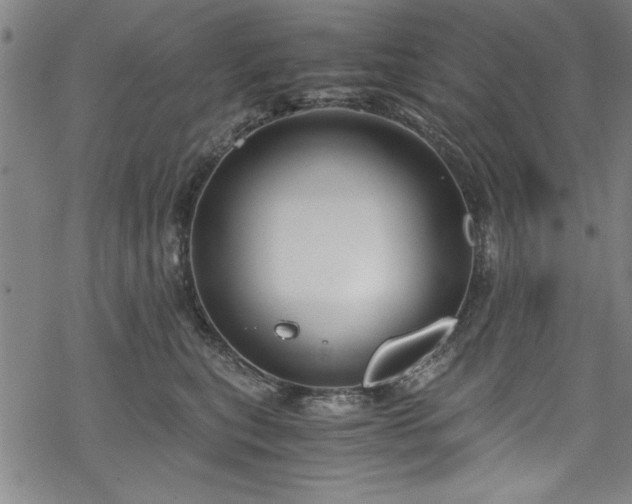 X0000068900567200605081348