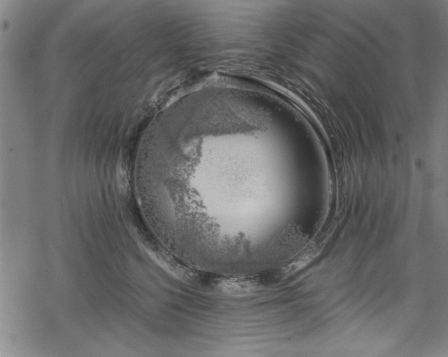 X0000068900568200605081348