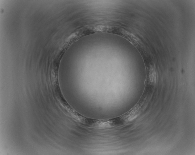 X0000068900569200605081348