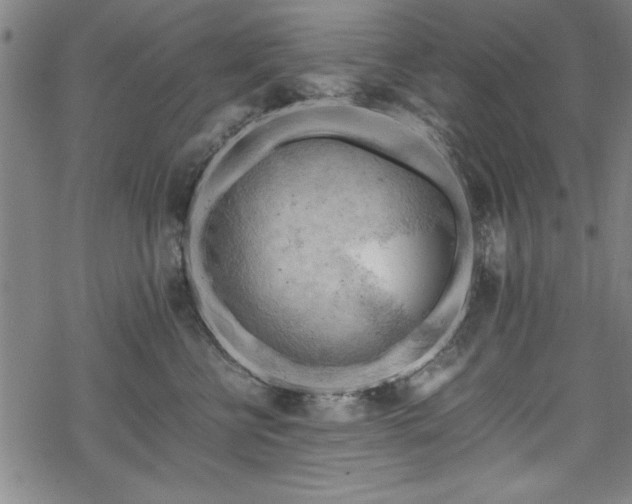 X0000068900570200605081348