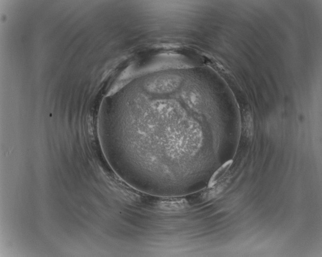 X0000068900571200605081348