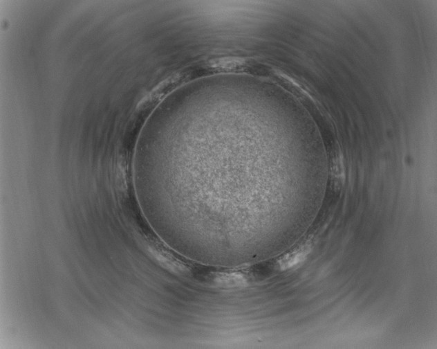 X0000068900572200605081348